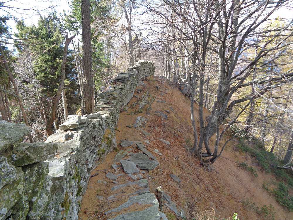Der Anfang der Polenmauer